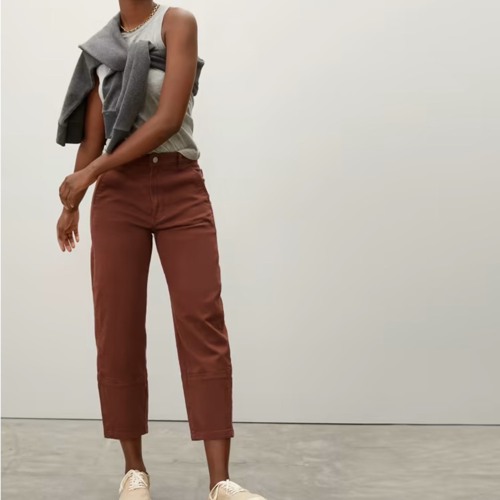 EUC Everlane Utility Barrel Pant